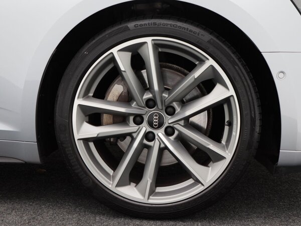 lichtmetalen velgen 19"