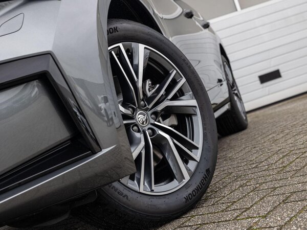 lichtmetalen velgen multi-spaaks 20"