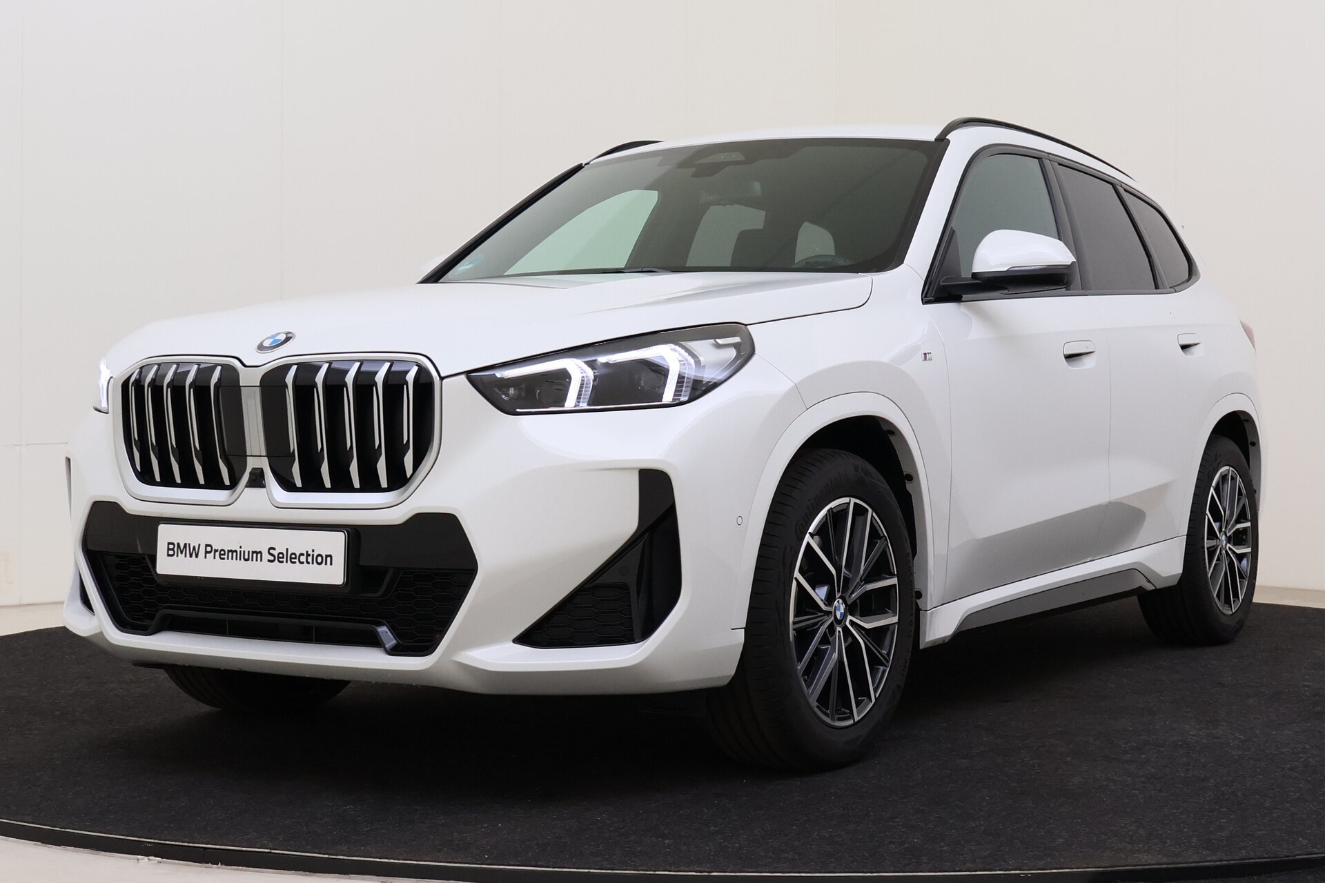 BMW X1 sDrive20i High Executive M Sport Automaat
