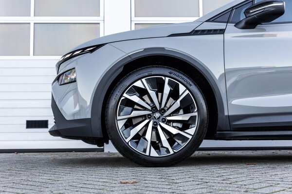 lichtmetalen velgen 10-spaaks 21" lichtmetalen velgen 10-spaaks 21"