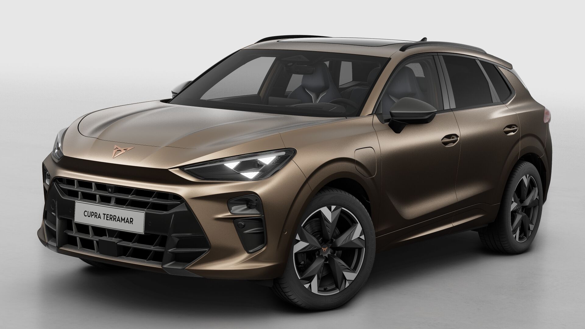 CUPRA Terramar Business - Afbeelding 2