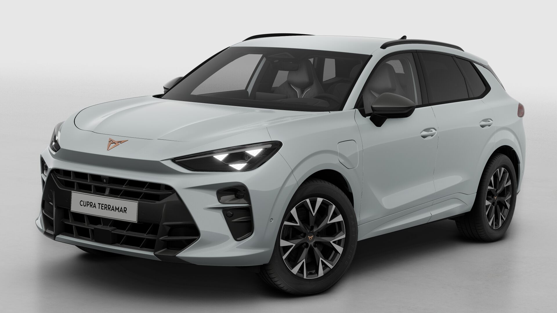 CUPRA Terramar Business - Afbeelding 2