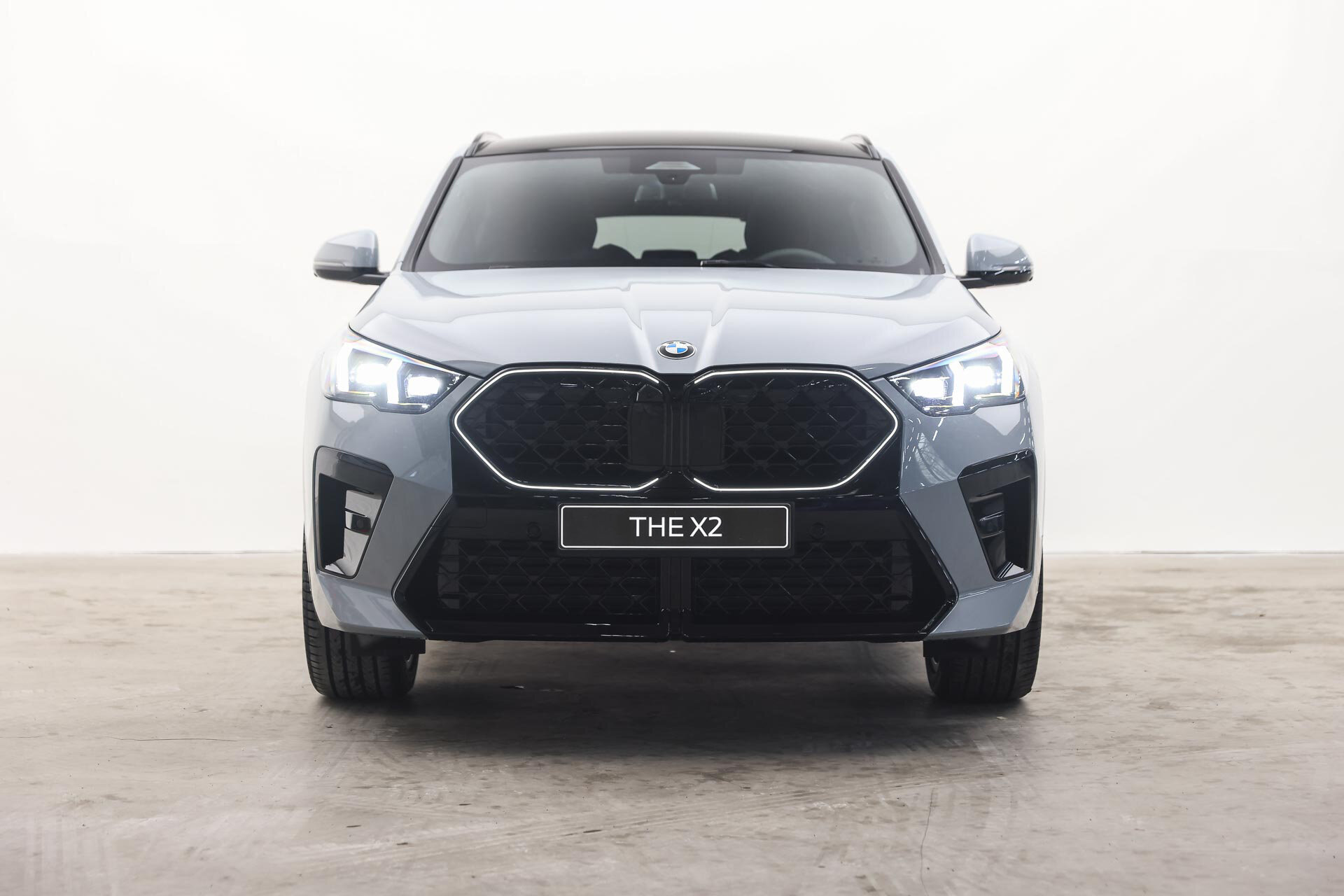BMW X2 sDrive20i High Executive M Sport Automaat - Afbeelding 5