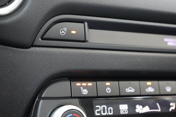 voorstoelen verwarmd