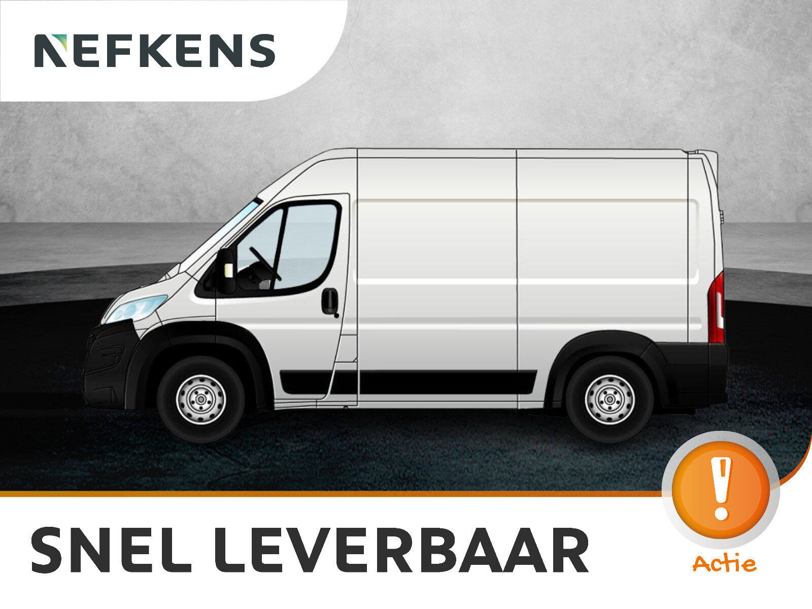 Fiat Ducato Professional Standaard - Elektrisch