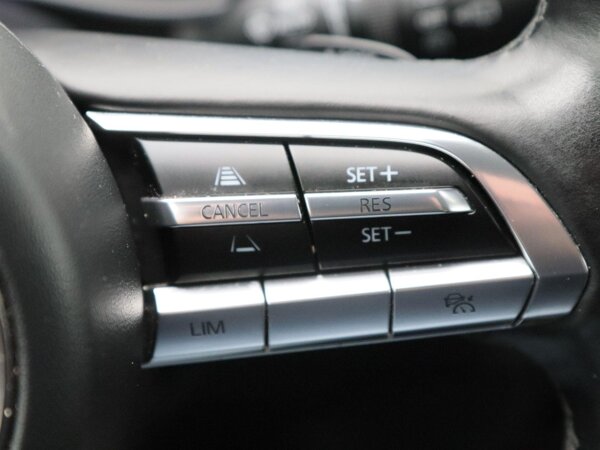 cruise control adaptief met Stop&Go