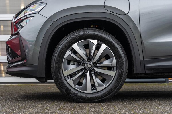 lichtmetalen velgen 10-spaaks 18"