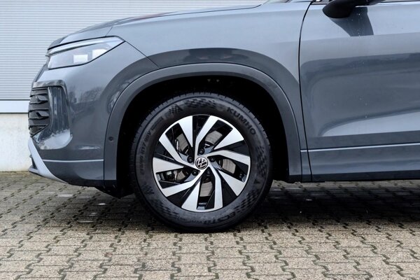 lichtmetalen velgen 17"