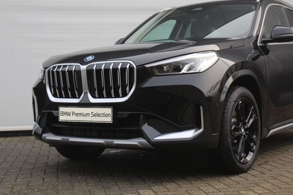 BMW X1 10