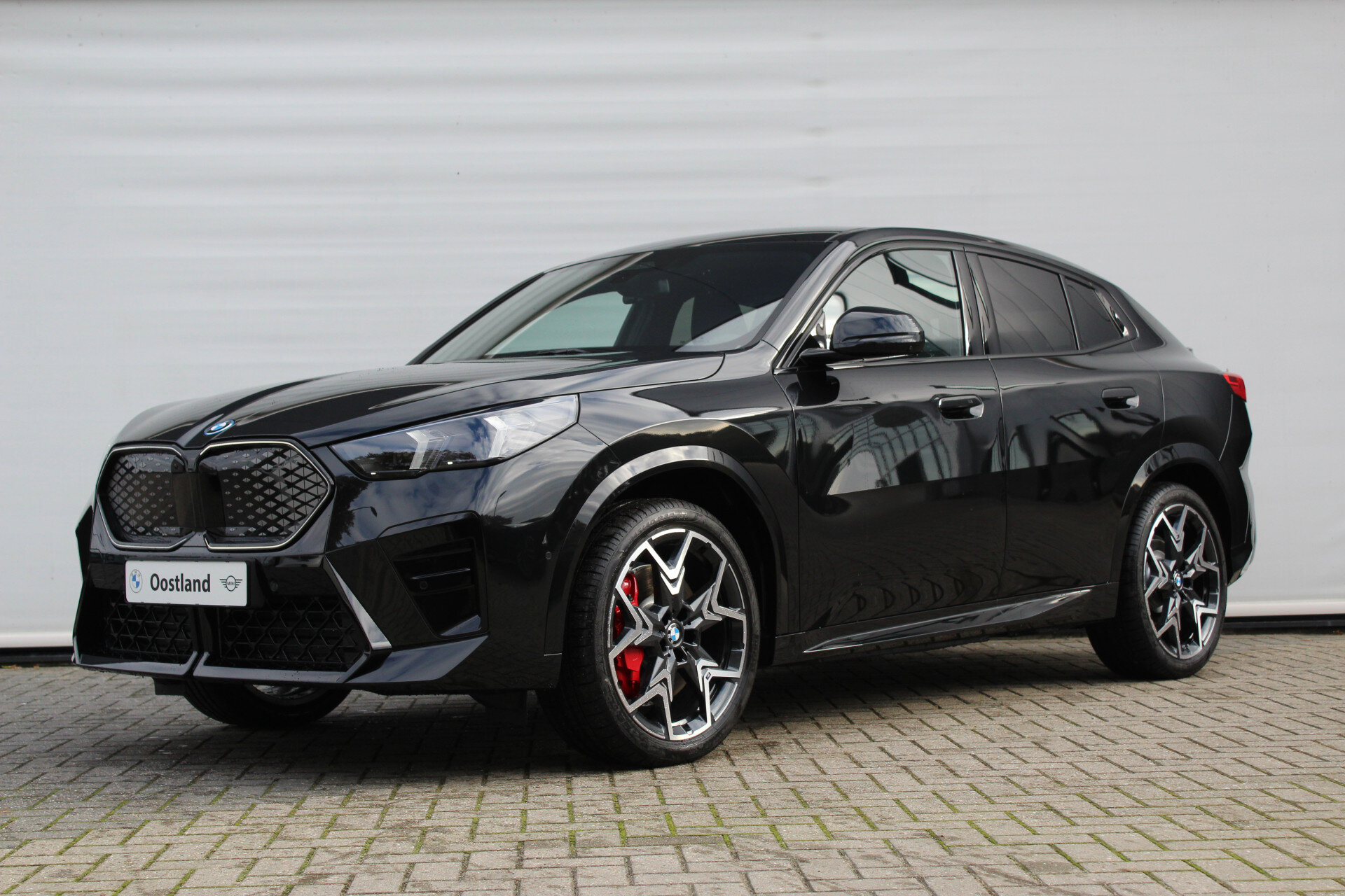 BMW iX2 xDrive30 High Executive M Sport