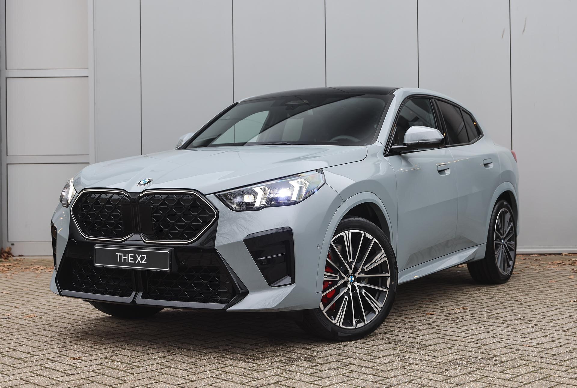 BMW X2 sDrive20i High Executive M Sport Automaat