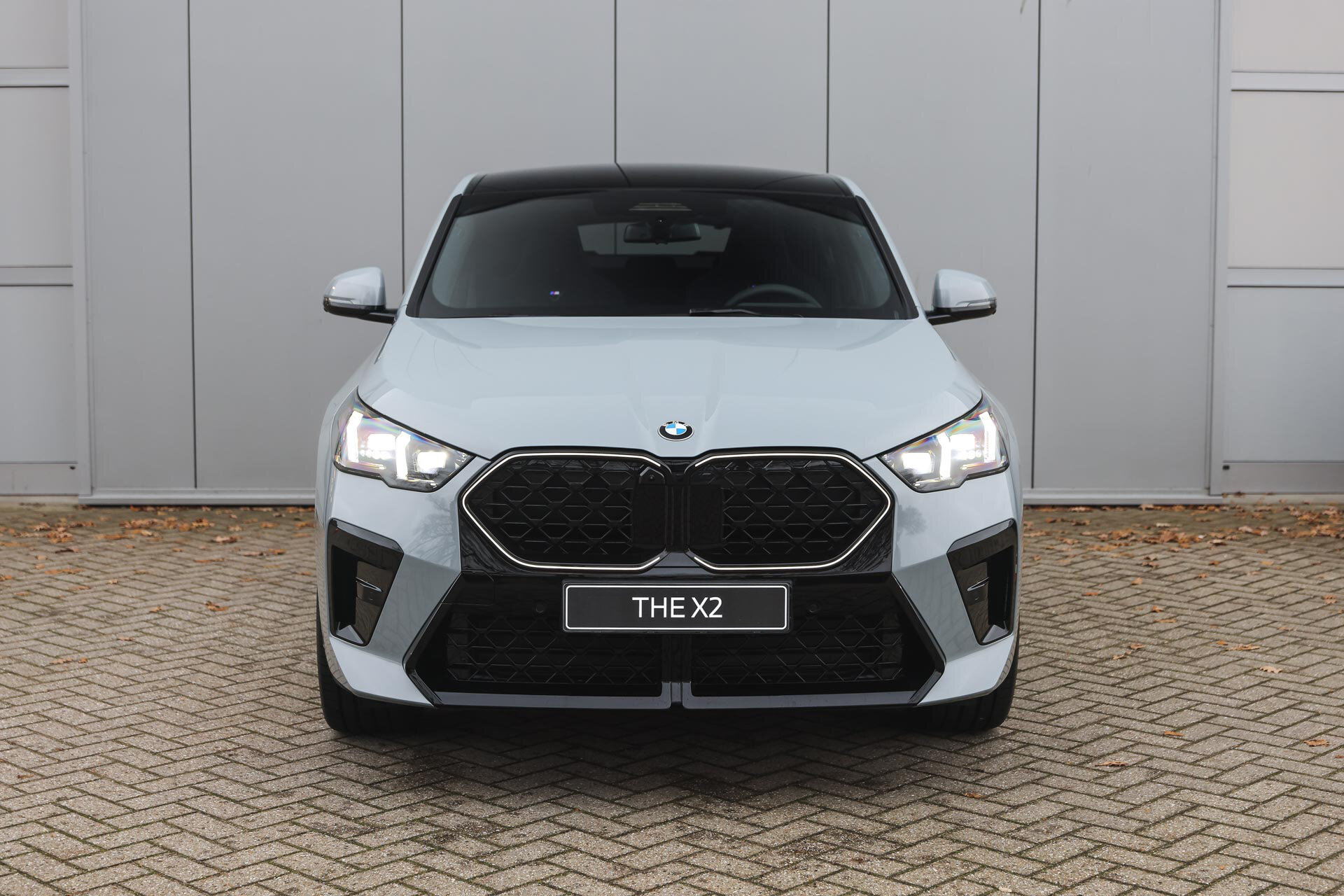 BMW X2 sDrive20i High Executive M Sport Automaat - Afbeelding 5