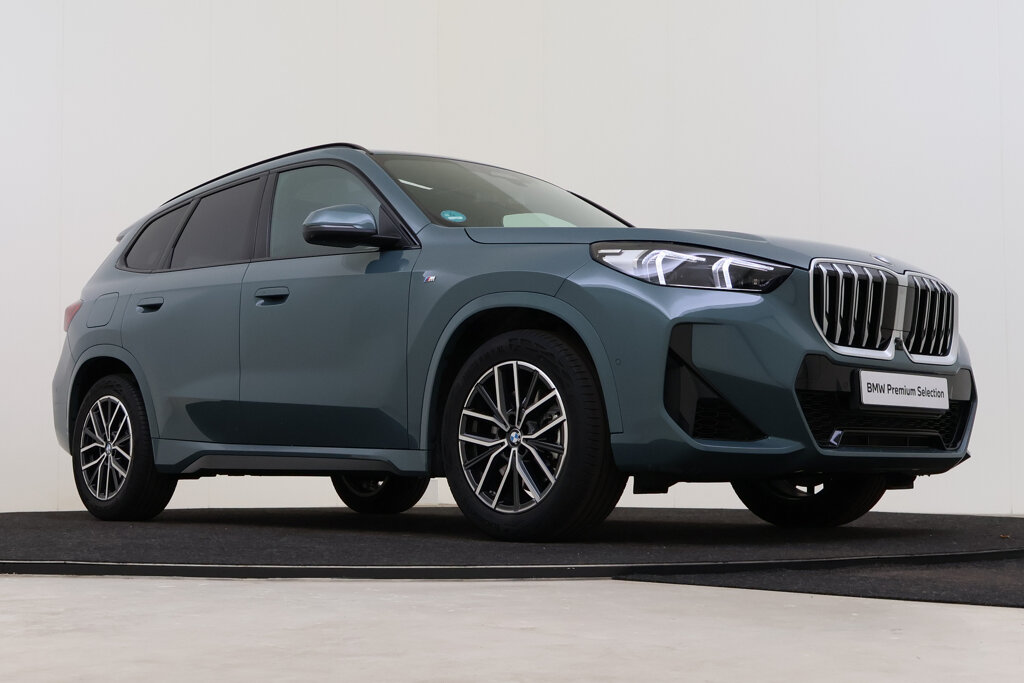 BMW X1 10