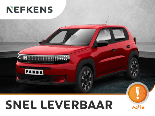 Fiat Grande Panda Icon