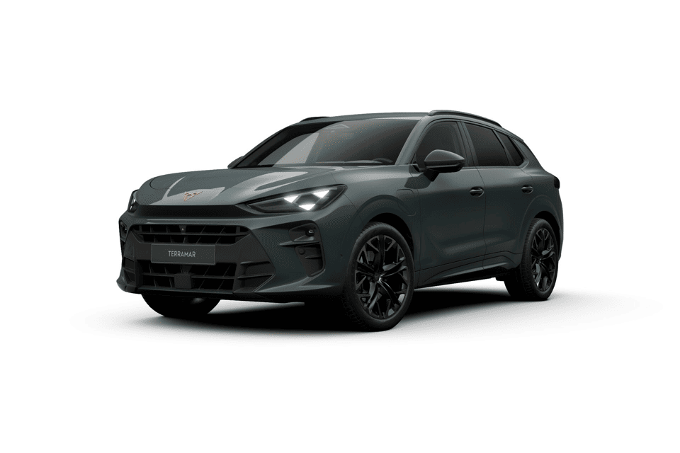 CUPRA Terramar Business - Afbeelding 1
