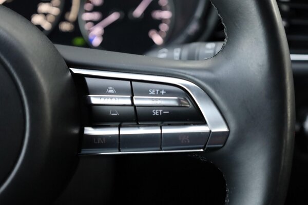 cruise control adaptief