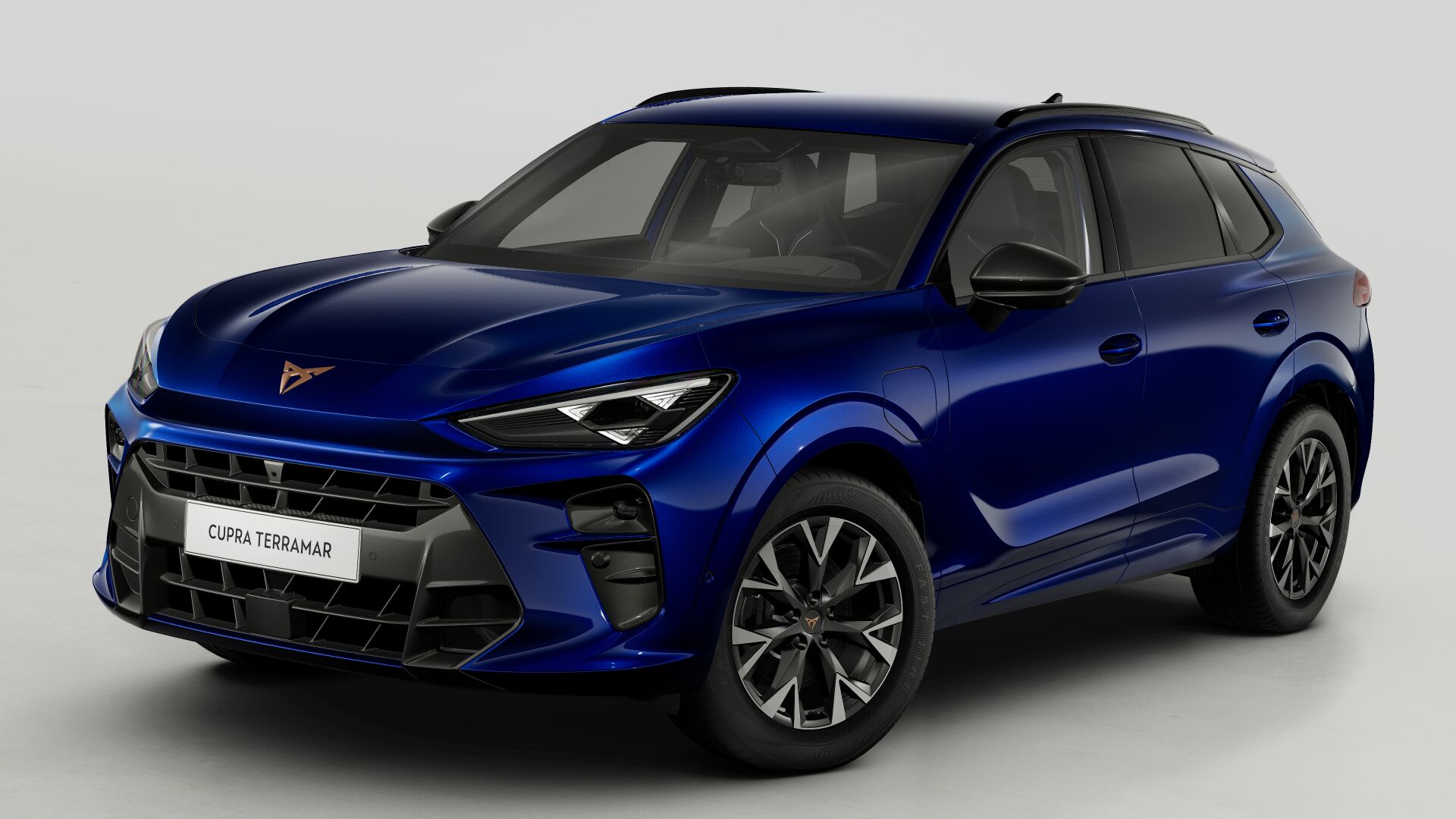 CUPRA Terramar Business