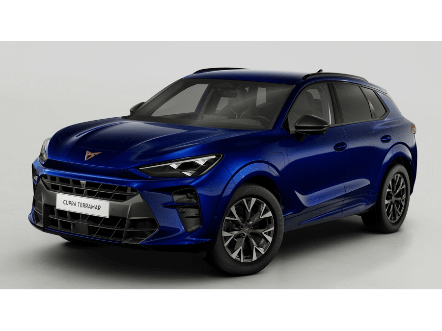 CUPRA Terramar Business - Afbeelding 1