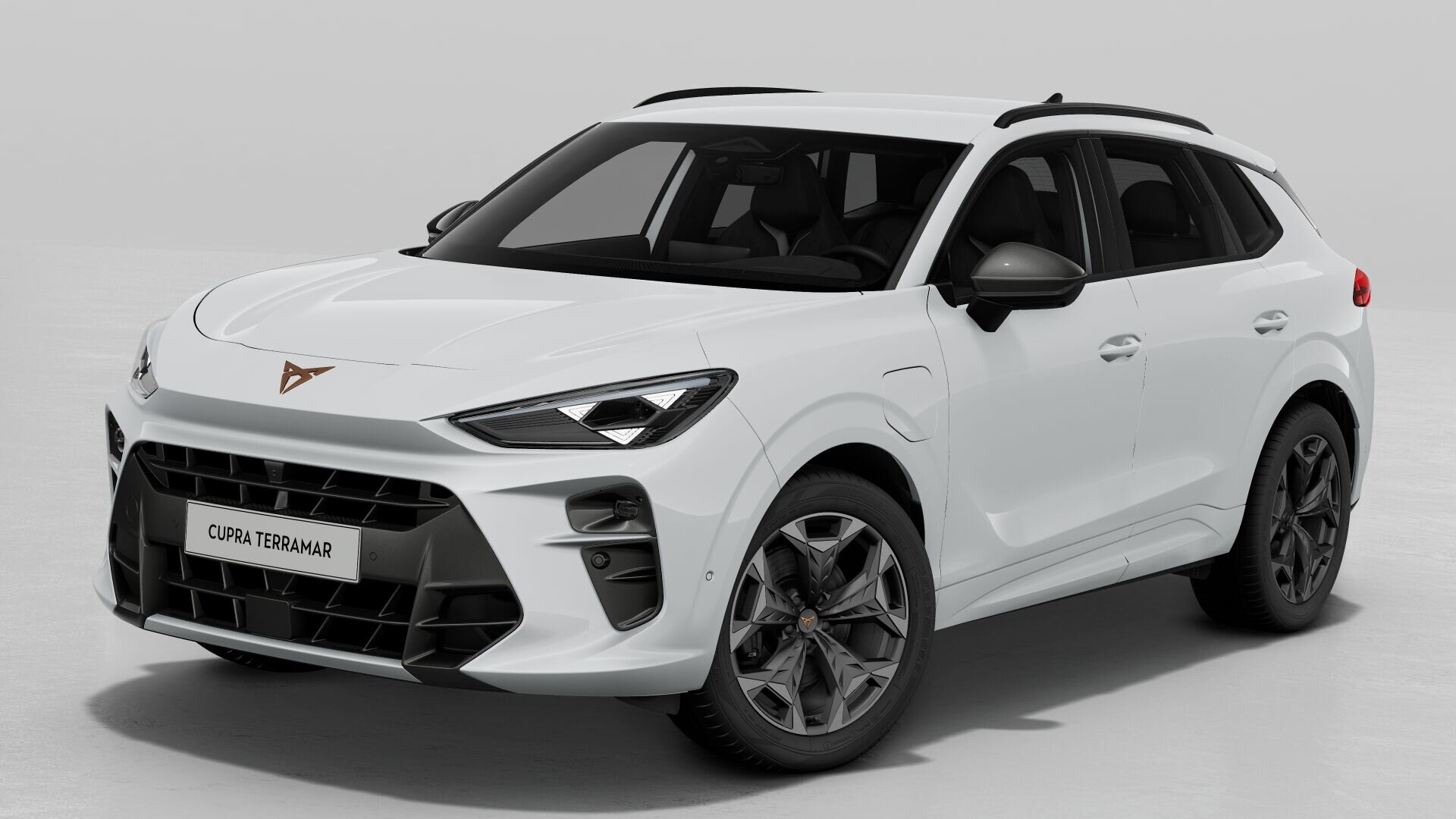 CUPRA Terramar Business