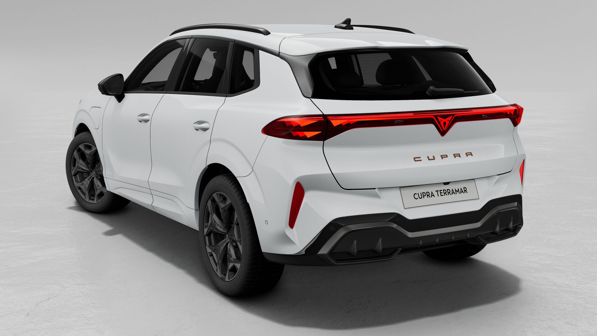 CUPRA Terramar Business - Afbeelding 3
