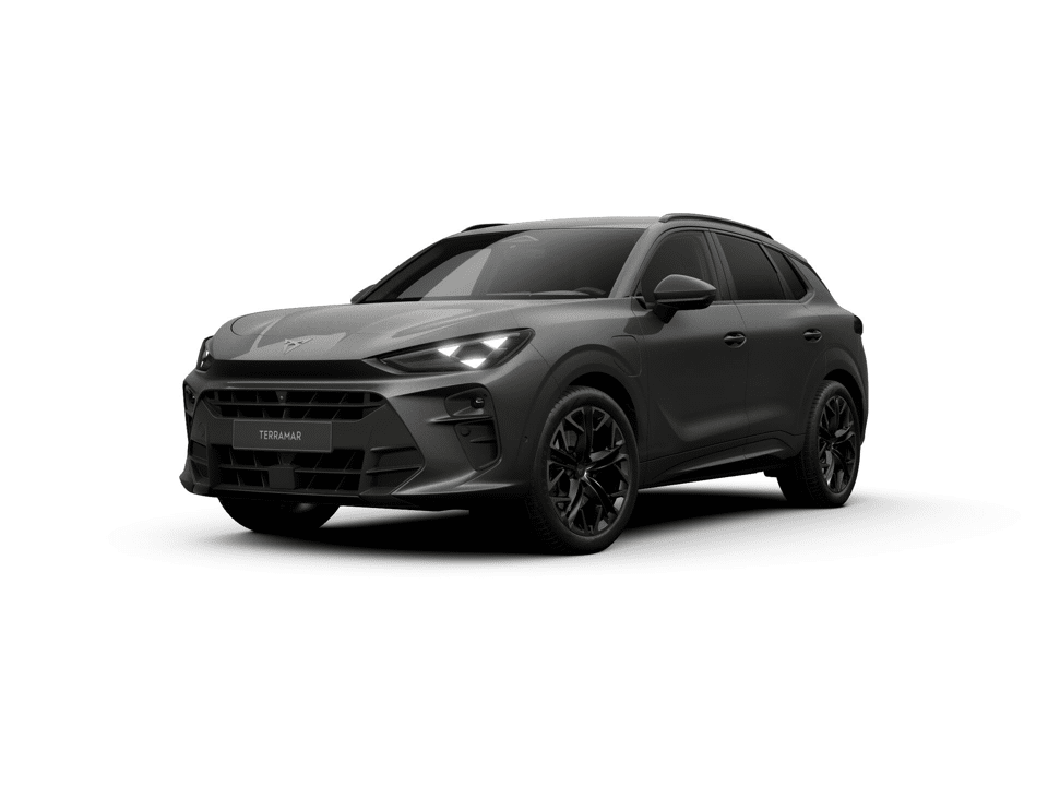 CUPRA Terramar Business - Afbeelding 1