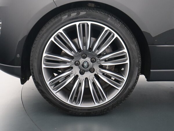 lichtmetalen velgen 22"