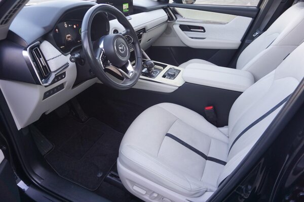 luxe lederen interieur