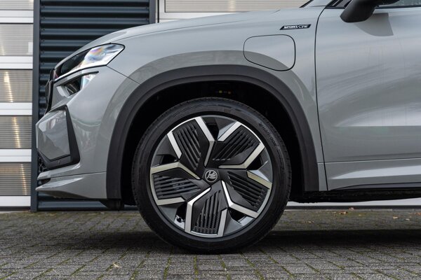 lichtmetalen velgen 20" lichtmetalen velgen 20"