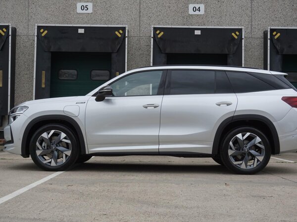 lichtmetalen velgen 5-spaaks 19"