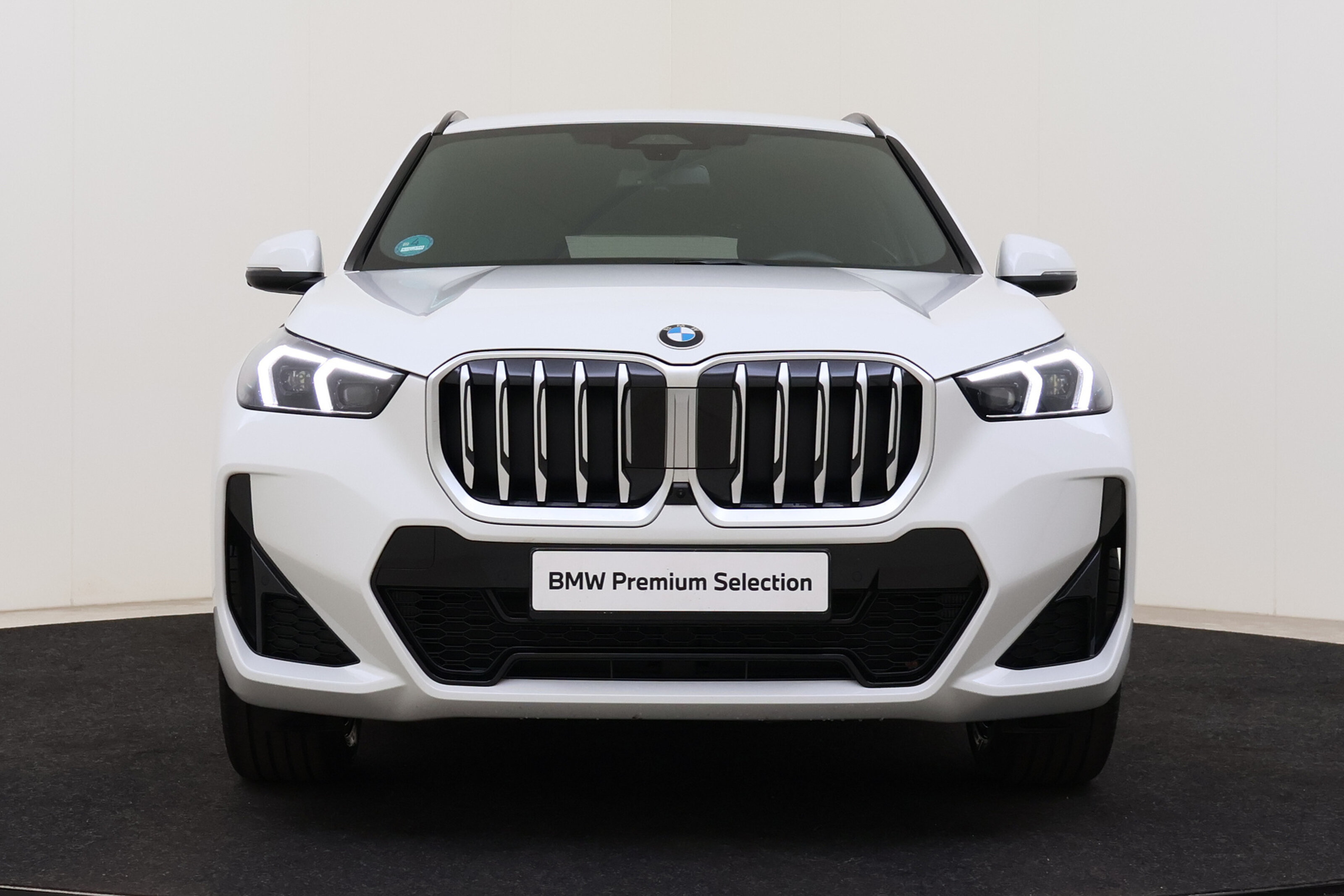 BMW X1 sDrive20i High Executive M Sport Automaat