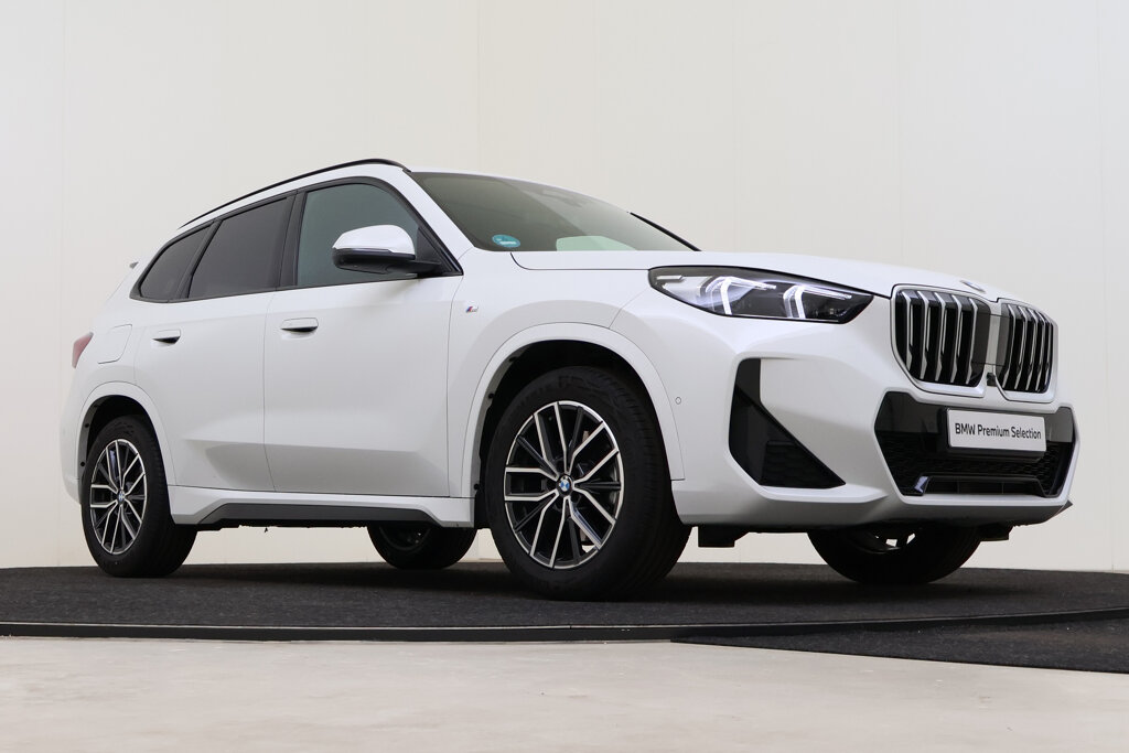 BMW X1 10