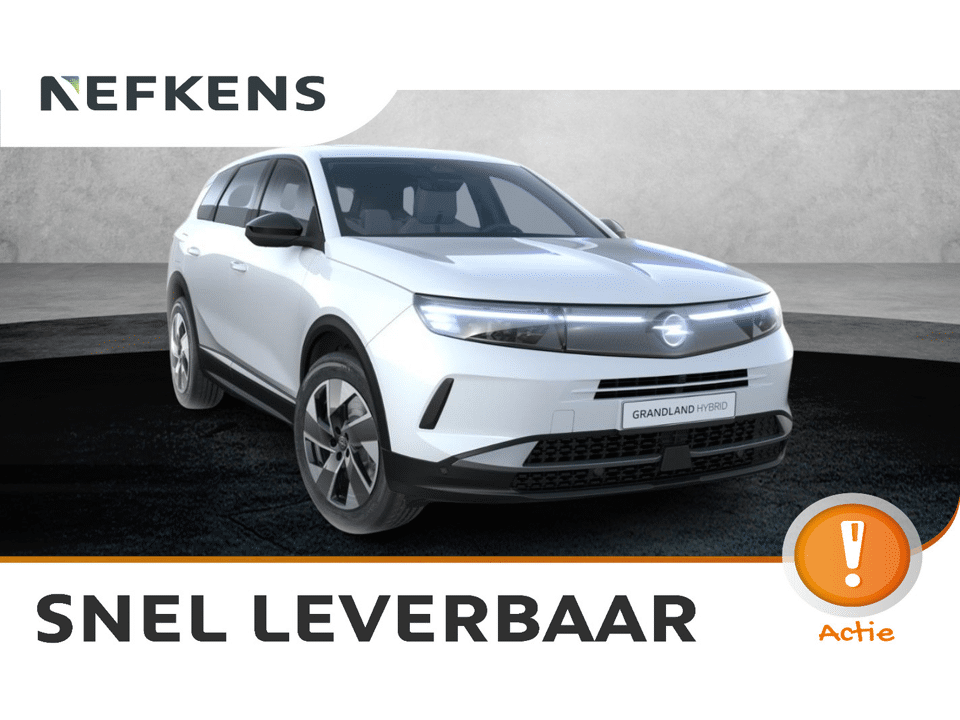 Opel Grandland Business Edition - Afbeelding 1