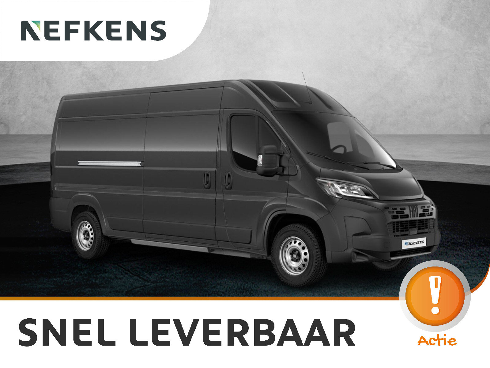 Fiat Ducato Professional Standaard - Elektrisch