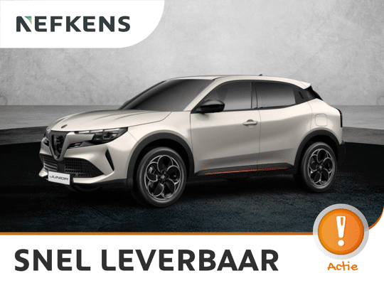 Alfa Romeo Junior Elettrica Speciale