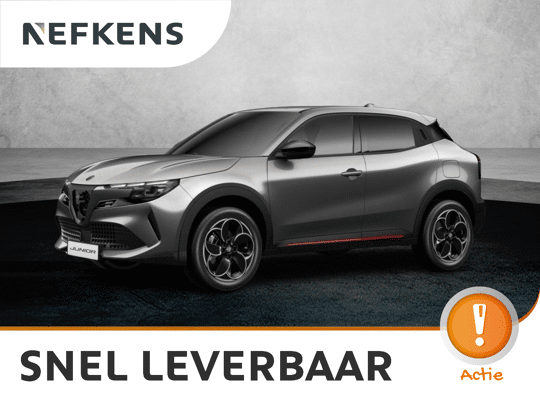 Alfa Romeo Junior Elettrica Speciale