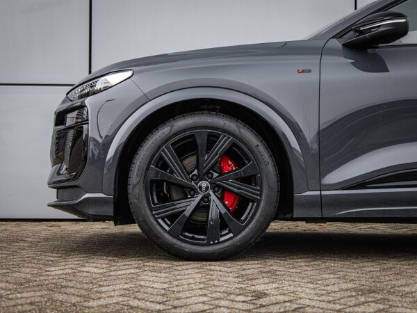 lichtmetalen velgen 21"