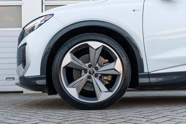 lichtmetalen velgen 5-spaaks 21"