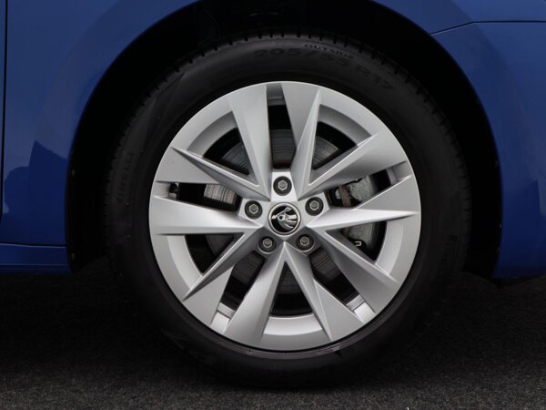 17 inch lichtmetalen velgen