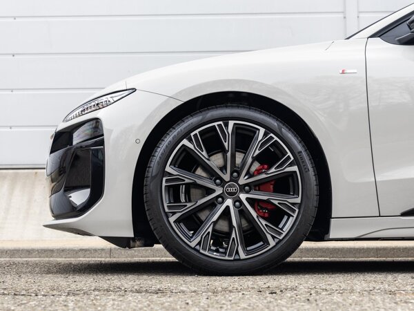 lichtmetalen velgen multi-spaaks 21"