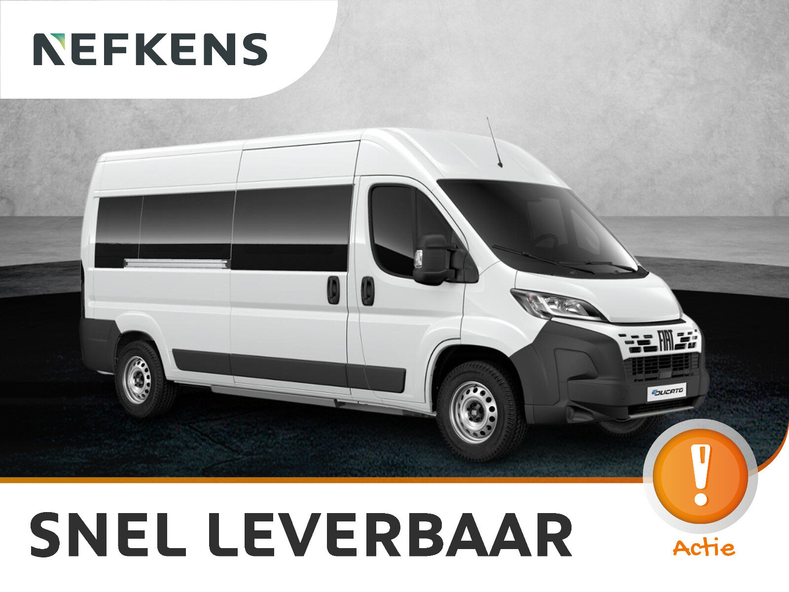 Fiat Ducato Professional Standaard - Elektrisch