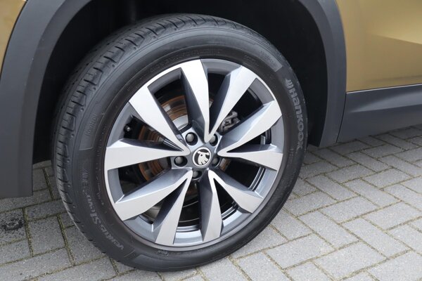 lichtmetalen velgen 10-spaaks 19"