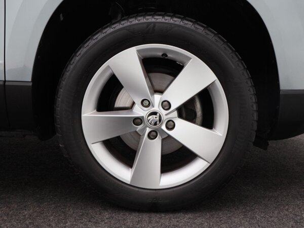 lichtmetalen velgen 17"