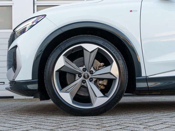 lichtmetalen velgen 5-spaaks 21"