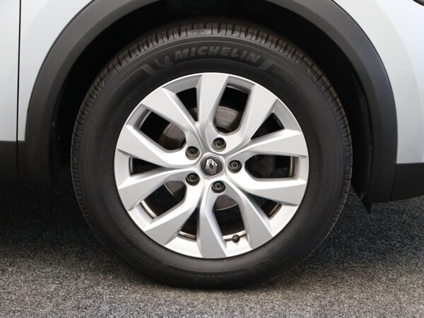 lichtmetalen velgen 17"