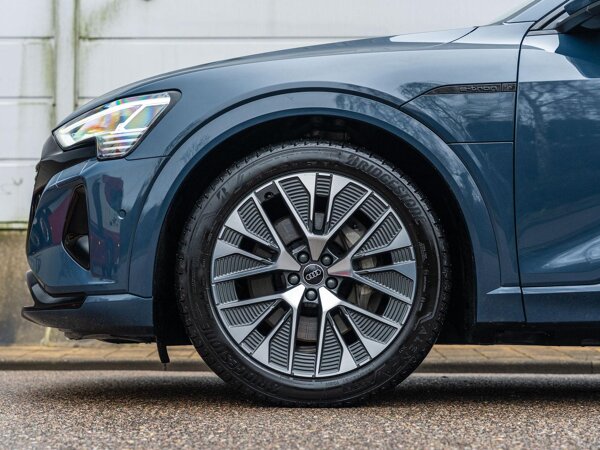 lichtmetalen velgen multi-spaaks 21"