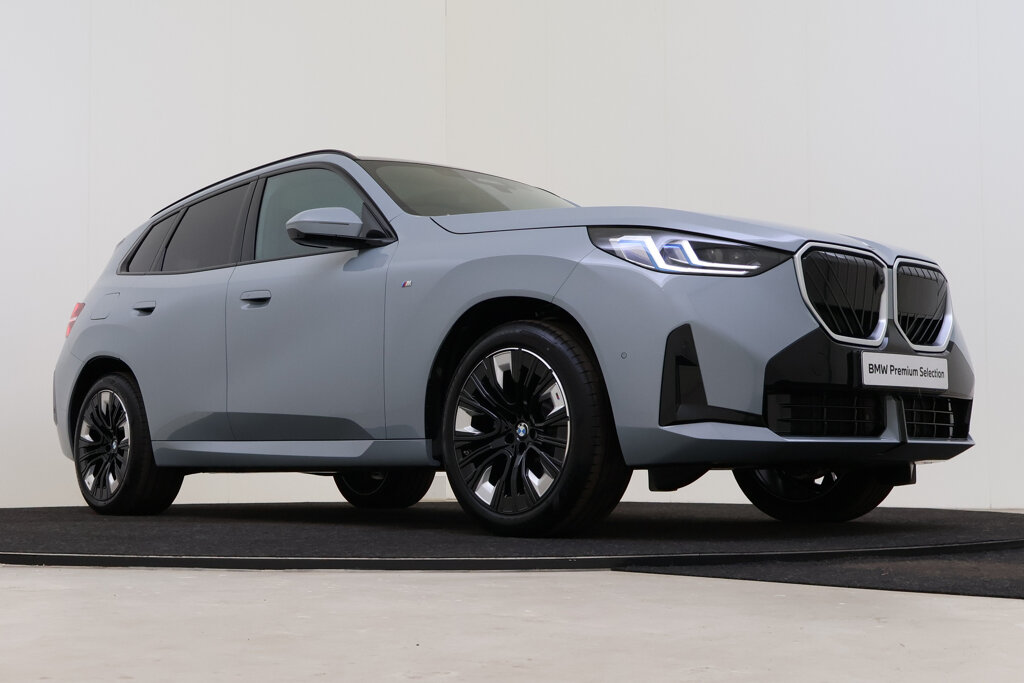 BMW X3 10