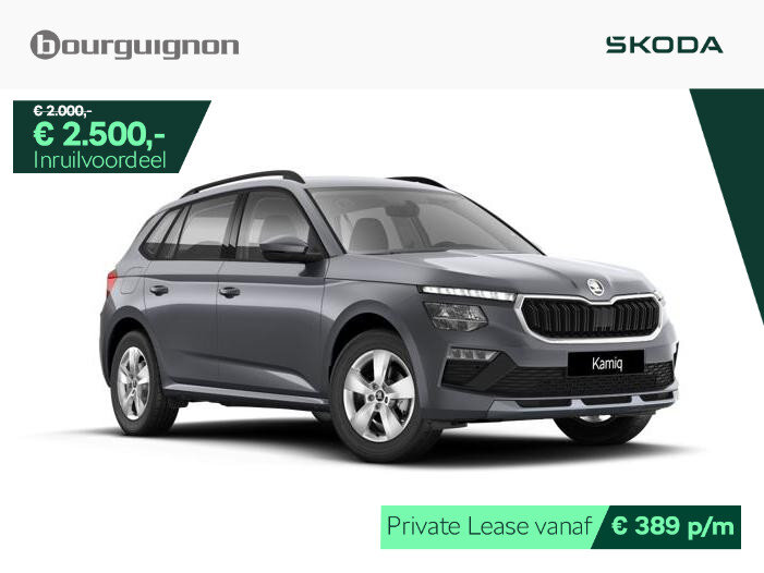 Škoda Kamiq Selection 1.0 TSI 115 PK | Automaat