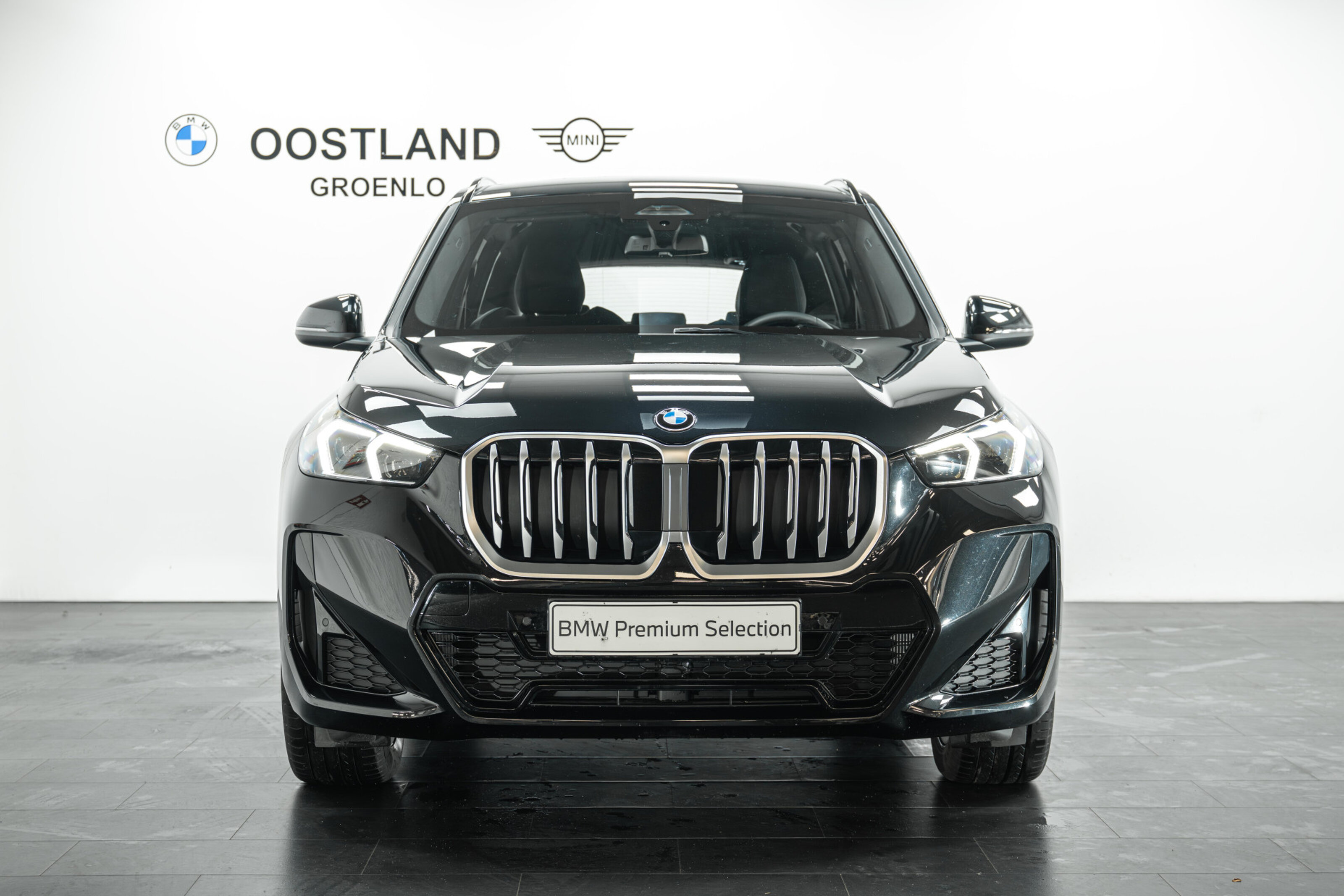 BMW X1 9
