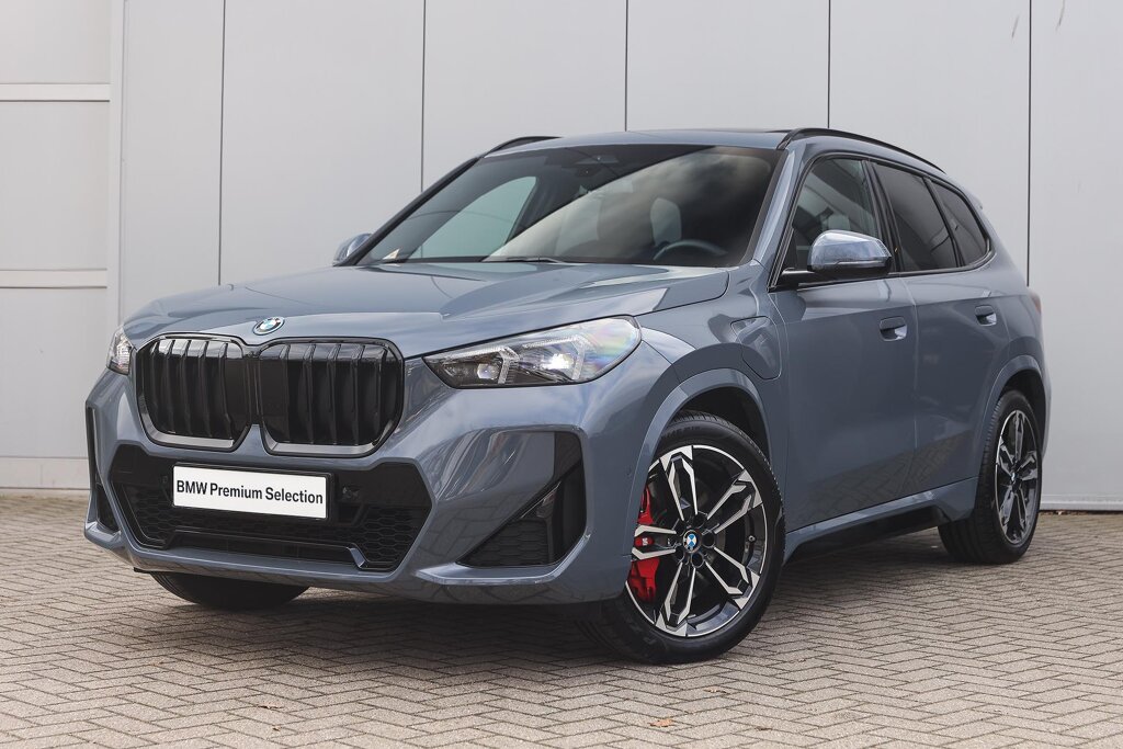 BMW X1 1
