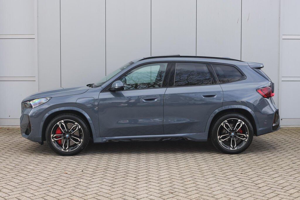 BMW X1 8